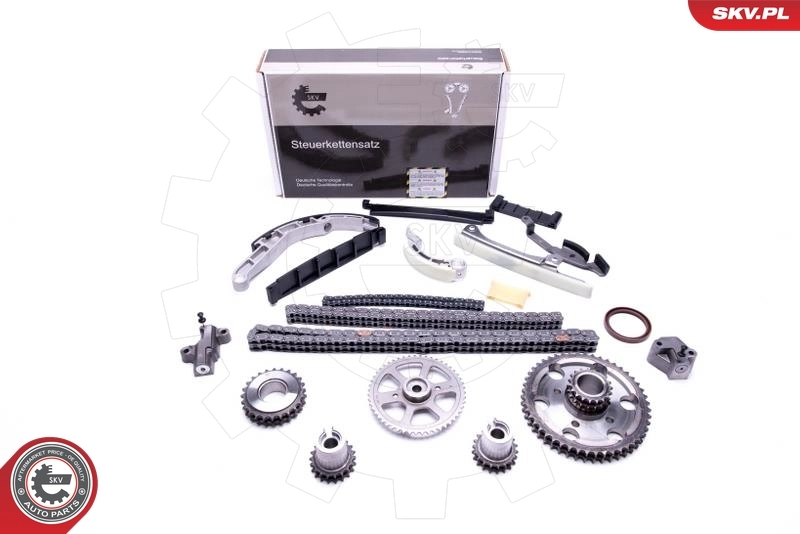 Timing Chain Kit